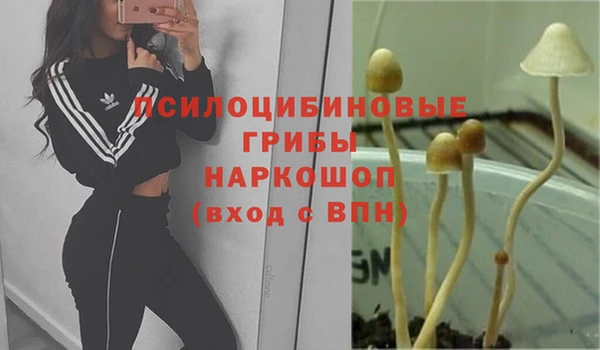 мескалин Семикаракорск