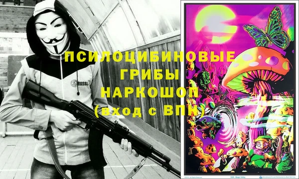прущие грибы Семёнов
