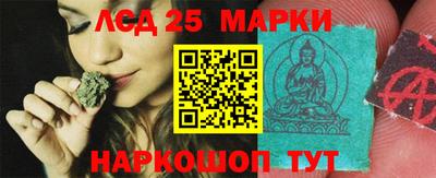 прущие грибы Ставрополь