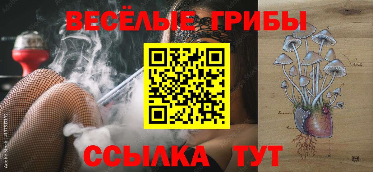 Галлюциногенные грибы Magic Shrooms  Галлюциногенные грибы Magic Shrooms  купить наркоту  Белово 
