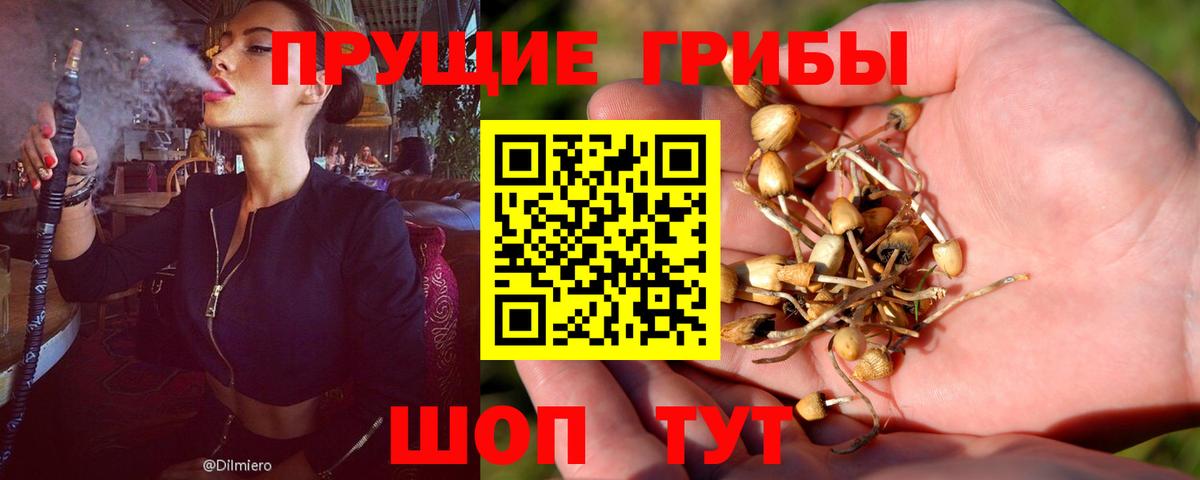 Галлюциногенные грибы Magic Shrooms Белово