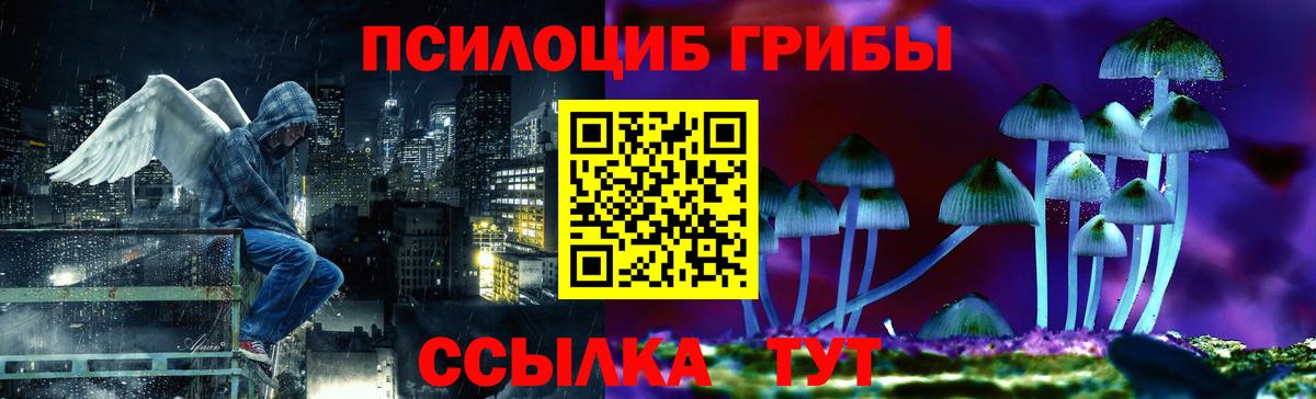 Псилоцибиновые грибы GOLDEN TEACHER Белово